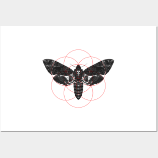 Sacred Death's-head Hawkmoth Posters and Art